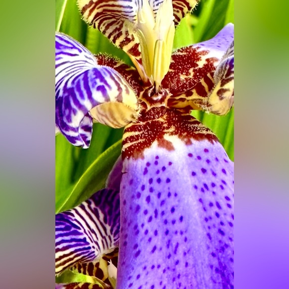 Meet your Posher - Picture 12 of 12